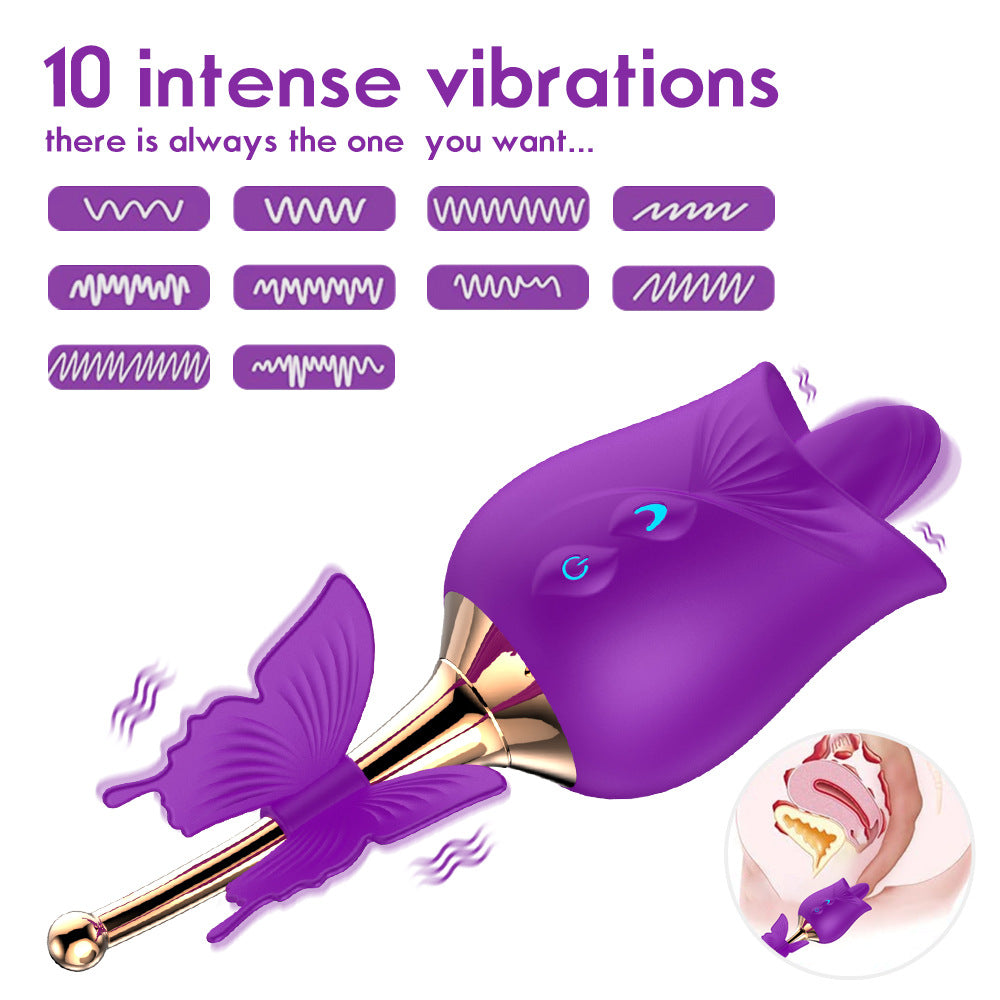 Vibromasseur  Léchage et Vibrations